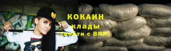 ешки Бородино