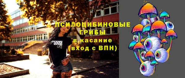 экстази Богданович