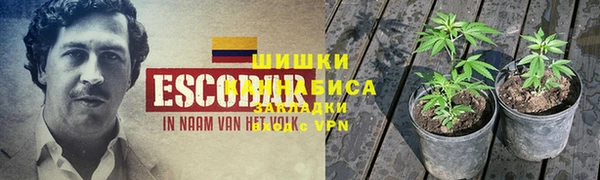 ПСИЛОЦИБИНОВЫЕ ГРИБЫ Богородск