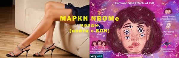 сатива Каменск-Шахтинский