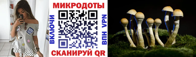 Галлюциногенные грибы Magic Shrooms  купить  цена  Зима 